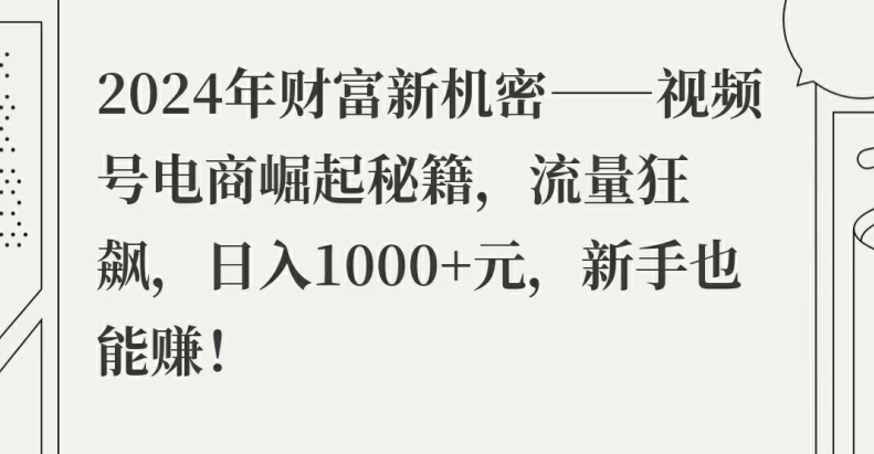 2024年财富新机密——视频号电商崛起秘籍，流量狂飙，日入1k元，新手也能赚-番茄副业网