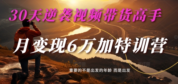 30天逆袭视频卖货大神，单月转现6万加夏令营-小麦甜-番茄副业网