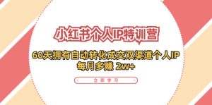 小红书个人IP陪跑营：两个月打造自动转化成交的多渠道个人IP，每月收入2w+（30节）-番茄副业网