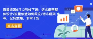 直播运营6月12号线下课：话术框架整体设计/流量低迷如何救流/话术框架等，全场燃爆，非常干货-番茄副业网