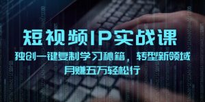 短视频IP实战课，独创一键复制学习秘籍，转战新领域，月赚五万轻松行-番茄副业网