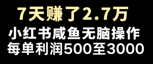 七天挣了2.7万！每单利润至少500 ，轻轻松松月入5万 新手有手就行-番茄副业网