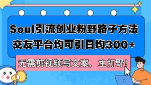 （12281期）Soul引流创业粉野路子方法，交友平台均可引日均300+，无需剪视频写文案…-番茄副业网