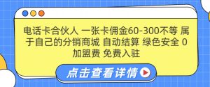 手机卡合作伙伴，一张卡提成60-300不一，0加盟费用， 构建属于自己分销商城系统，全自动清算-番茄副业网