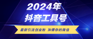 （12149期）24年抖音最新工具号日引流300+创业粉，日入5000+-番茄副业网