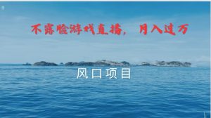 不露脸不出镜，玩转找茬游戏，普通人实现月入过万的好项目-番茄副业网