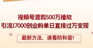 (12391期)精华帖视频号混剪500万播放引流17000创业粉,单日直接过万变现,最新方…-番茄副业网