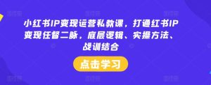 小红书IP变现运营私教课，打通红书IP变现任督二脉，底层逻辑、实操方法、战训结合-番茄副业网