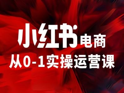 小红书电商从0-1实际操作运营课，使你从小白到精锐-番茄副业网