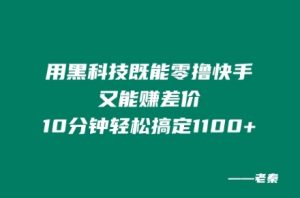用高科技既可以零撸快手视频又可赚取差价,10min轻松解决1100-番茄副业网