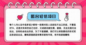 冷门小众赚钱项目,匿名短信,玩转信息差,月入五位数【揭秘】-番茄副业网