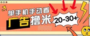新渠道买会员单机版每日20-30 ，没有任何门坎，安卓机就可以，新手也可以快速上手-番茄副业网