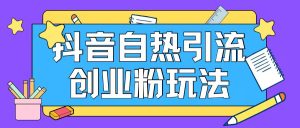 抖音吸粉自主创业粉自然游戏玩法日引200 精准粉-番茄副业网