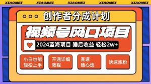 （12084期）微信视频号大风口项目 轻松月入2w+ 多赛道选择，可矩阵，玩法简单轻松上手-番茄副业网