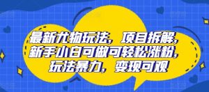 全新性感尤物游戏玩法，新项目拆卸，新手入门能做能方便的增粉，游戏玩法暴力行为，转现丰厚-番茄副业网