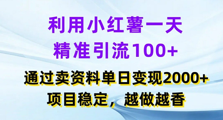 运用小红书的一天精准引流方法100 ，根据卖项目单日转现2k ，新项目平稳，越干越香【揭密】-番茄副业网