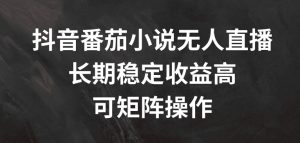 抖音视频番茄小说无人直播，长期性稳定盈利高，可引流矩阵实际操作【揭密】-番茄副业网