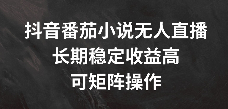 抖音视频番茄小说无人直播，长期性稳定盈利高，可引流矩阵实际操作【揭密】-番茄副业网