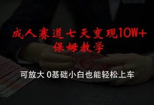 成年人跑道七天转现10W 家庭保姆课堂教学，可变大，0基本新手都可以轻松进入车内【揭密】-番茄副业网