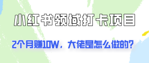 通过小红书领域打卡项目2个月赚10W，大佬是怎么做的？-番茄副业网