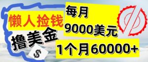 懒人捡钱撸美金项目，月收益9000+美金，简单无脑，干就完了【揭秘】-番茄副业网