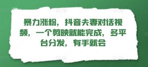 暴力行为增粉，抖音视频夫妇对话视频，一个剪辑软件就可以完成，多平台分发，两双手便会-番茄副业网