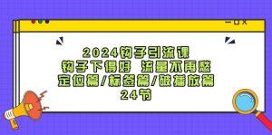 （12097期）2024钩子·引流课：钩子下得好 流量不再愁，定位篇/标签篇/破播放篇/24节-番茄副业网