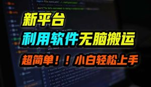 （12203期）B站平台用软件无脑搬运，月赚10000+，小白也能轻松上手-番茄副业网