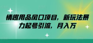 情趣用具蓝海项目，新模式暴力行为养号引流方法，月入万-番茄副业网