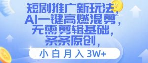 短剧剧本营销推广新模式，AI一键高燃混剪，不用视频剪辑基本，一条条原创设计，新手月入3W 【揭密】-番茄副业网