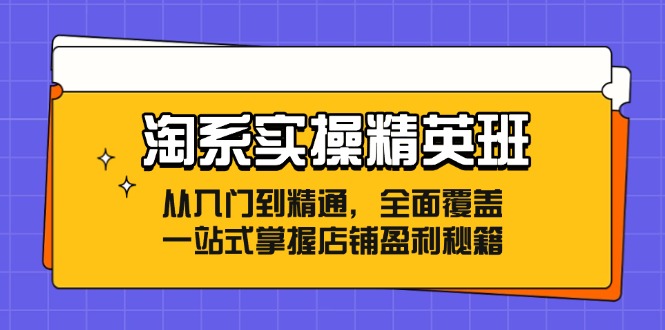 淘宝实际操作精英班：实用教程，全覆盖，一站式把握店面赢利秘笈-番茄副业网