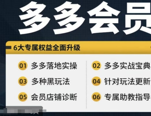 拼多多会员，拼多多平台实战演练秘笈 实战演练落地式实际操作，从初学者到高级具体内容全覆盖-番茄副业网
