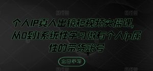 个人IP真人出镜短视频实操课，从0到1系统性学习做有个人ip属性的带货账号-番茄副业网