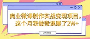 商业服务微视频制作实战演练转现新项目，这一月我自己做微课程挣了2W-番茄副业网