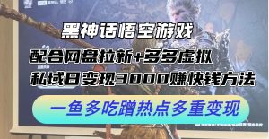 (12316期)黑神话悟空游戏配合网盘拉新+多多虚拟+私域日变现3000+赚快钱方法。…-番茄副业网