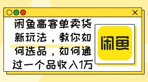 （12387期）闲鱼高客单卖货新玩法，教你如何选品，如何通过一个品收入1万+-番茄副业网