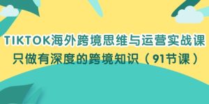 （12010期）TIKTOK海外跨境思维与运营实战课，只做有深度的跨境知识（91节课）-番茄副业网