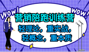 营销推广陪跑夏令营，轻基础理论，重实战演练，轻定义，重实质，适宜中小企业和初创企业的老总-番茄副业网