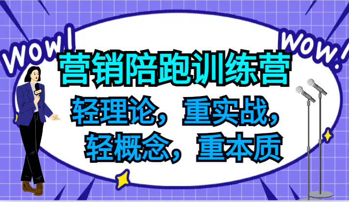 营销推广陪跑夏令营，轻基础理论，重实战演练，轻定义，重实质，适宜中小企业和初创企业的老总-番茄副业网