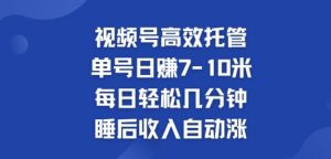 微信视频号高效率代管，运单号日赚7-10米，每日轻轻松松数分钟，睡后收入全自动涨-番茄副业网