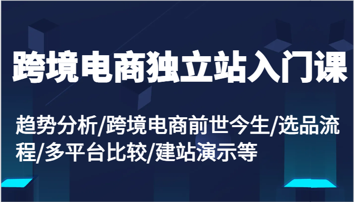 跨境电商电商独立站新手入门课：变化趋势/跨境电子商务来世今生/选款步骤/全平台较为/建网站演试等-番茄副业网