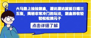 大马路上捡捡烟盒，溜达溜达就能日赚三五张，揭秘非常冷门的玩法，烟盒回收轻轻松松搞元子-番茄副业网