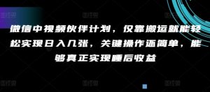 手机微信中视频伙伴方案,只靠运送就能轻轻松松完成日入多张,重要实际操作还简单,可以更好的完成睡后盈利-番茄副业网