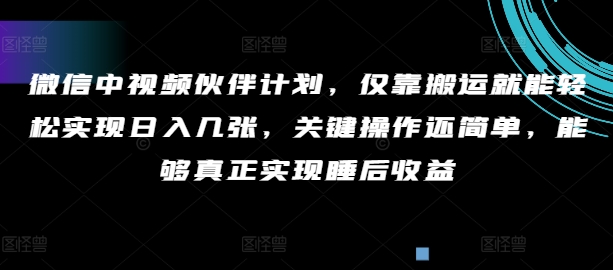 手机微信中视频伙伴方案，只靠运送就能轻轻松松完成日入多张，重要实际操作还简单，可以更好的完成睡后盈利-番茄副业网