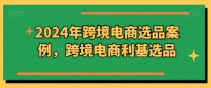2024年跨境电商选品实例，跨境电子商务冷门选款（升级）-番茄副业网