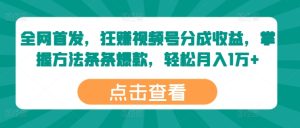 独家首发，狂赚微信视频号分为盈利，掌握方法一条条爆品，轻轻松松月入1万-番茄副业网