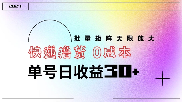快递撸货 0成本 单号日收益30+ 批量矩阵可无限放大-番茄副业网