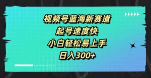 视频号蓝海新赛道，起号速度快，小白轻松易上手，日入3张-番茄副业网