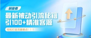 创业者必看，解锁最新被动引流秘籍，日引100+精准客源，轻松打造流量爆点!-番茄副业网