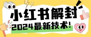 2024全新小红书账号封停解除限制方式，无尽释放出来手机号码【揭密】-番茄副业网